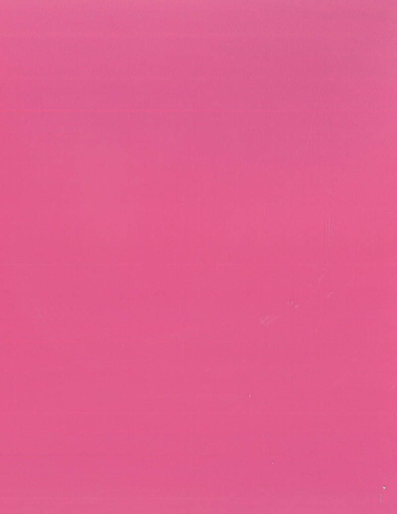 5581 Hutch Pink
