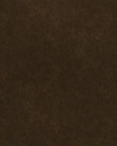 9365 - Bronze Leather (4' x 8')
