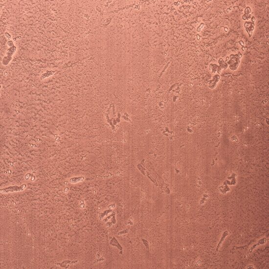 Moon Light Copper