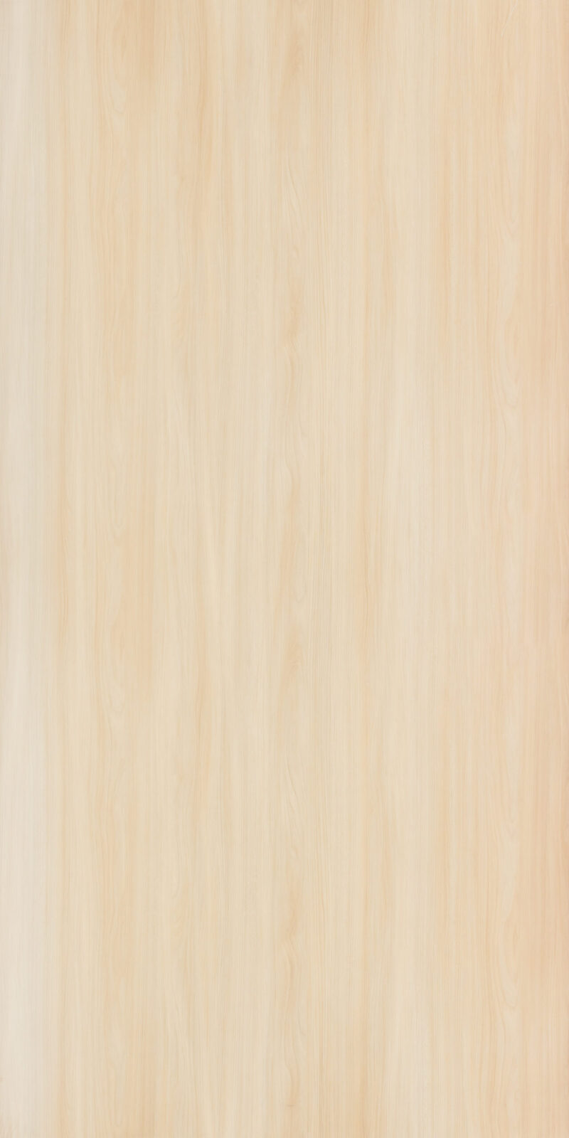 Formica 5542 Gentle Elm full sheet