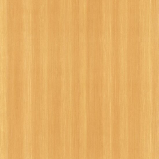 Savoy Beech