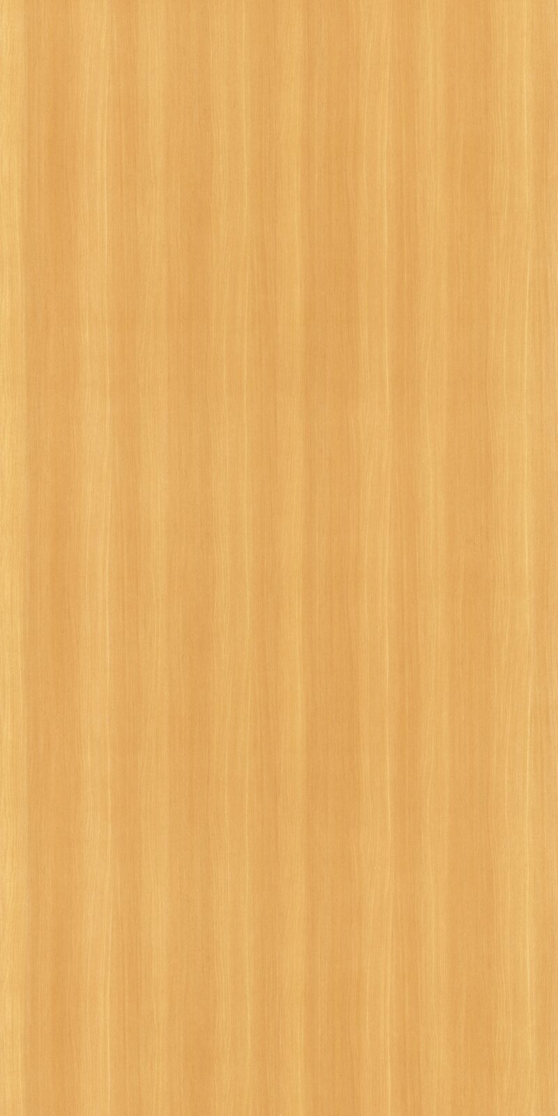 Savoy Beech