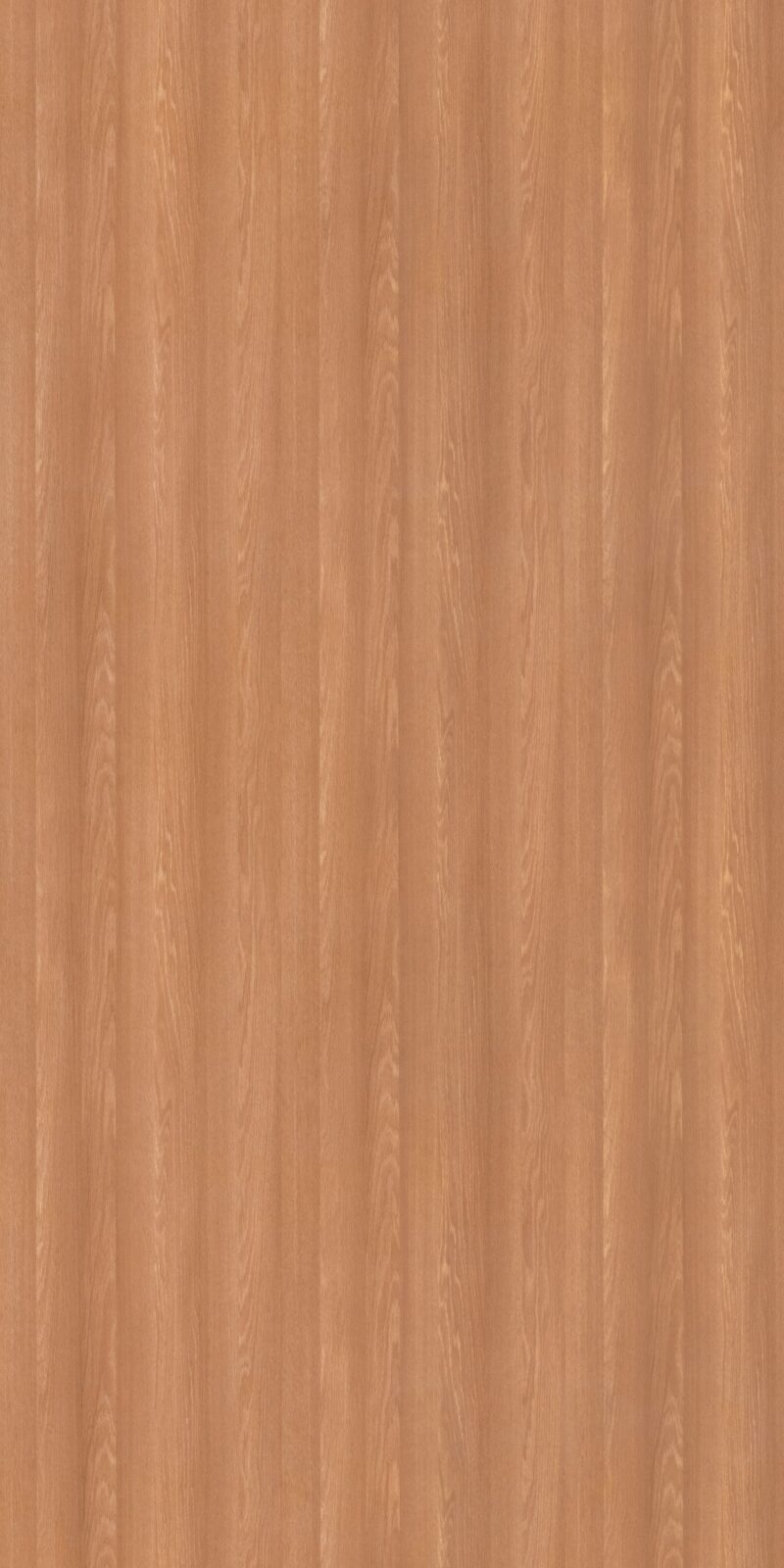 Hakiki Quercus