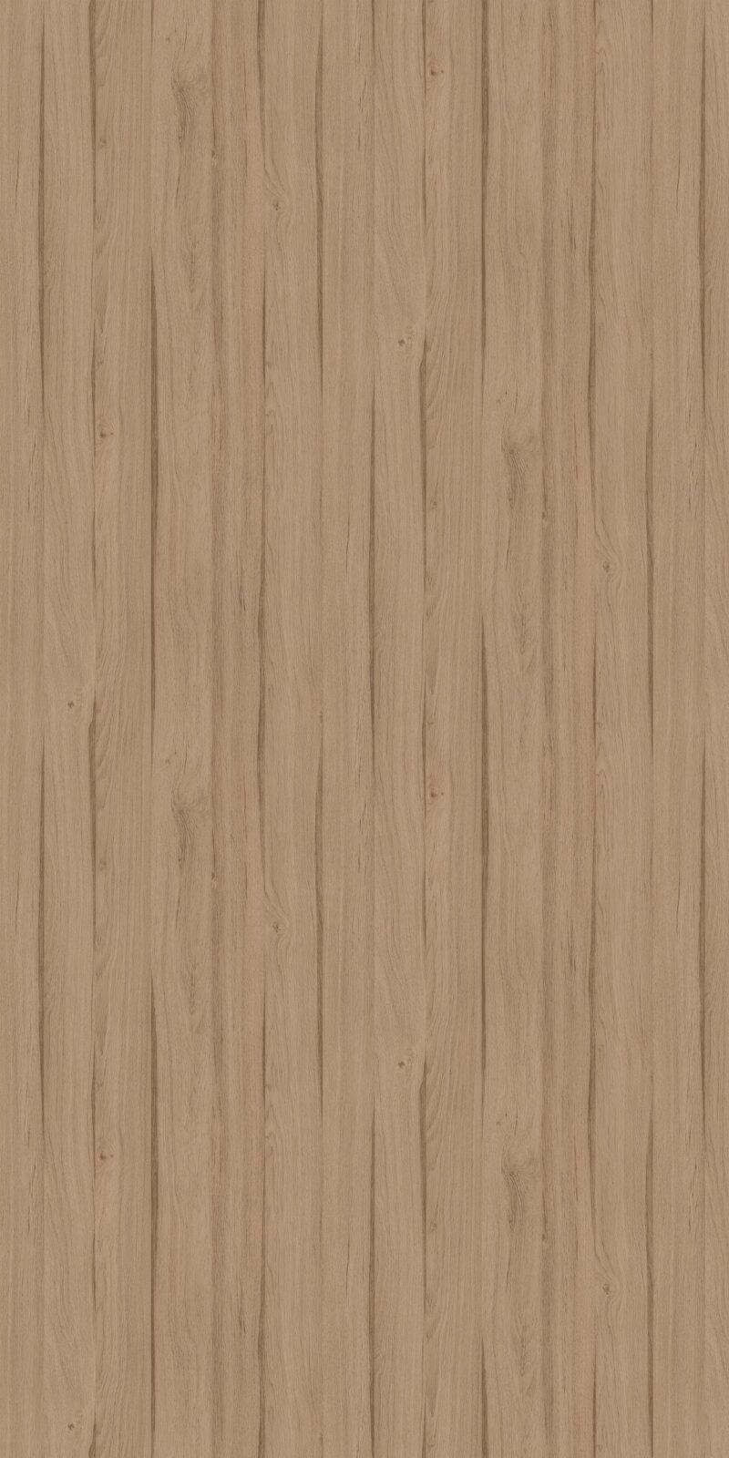 Parched Oak