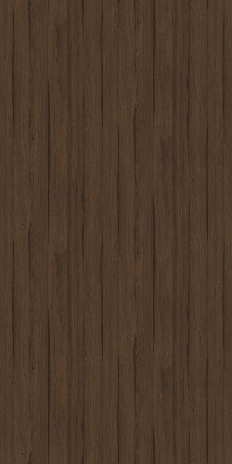Ebony Oak