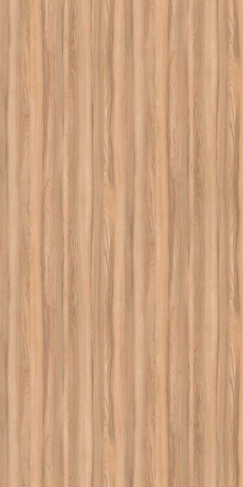 Ruffed Ash