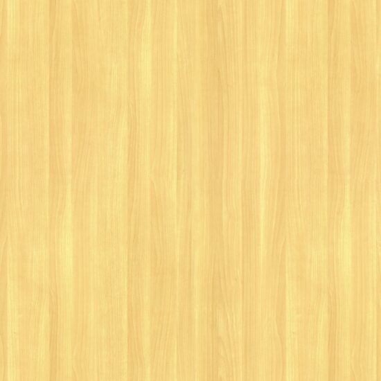 Palm Beech