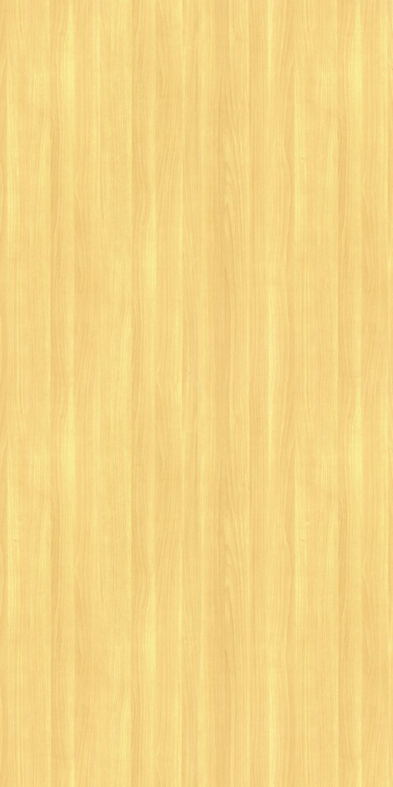 Palm Beech