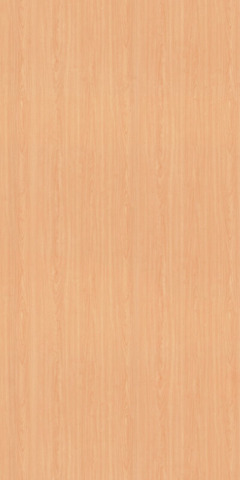 Fusion Maple