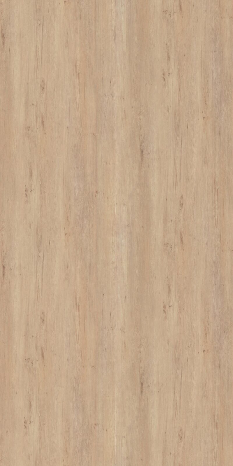 Stately Pine - Grey