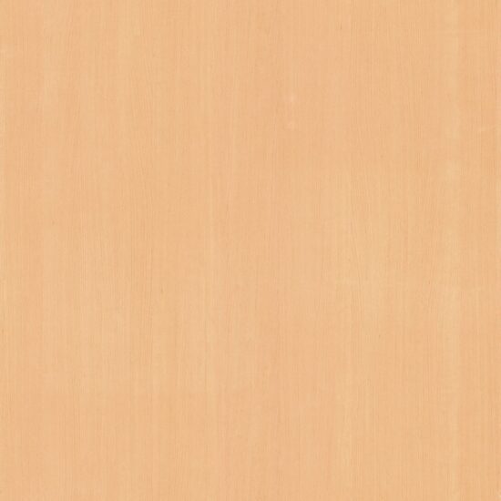 Steam Beech - I