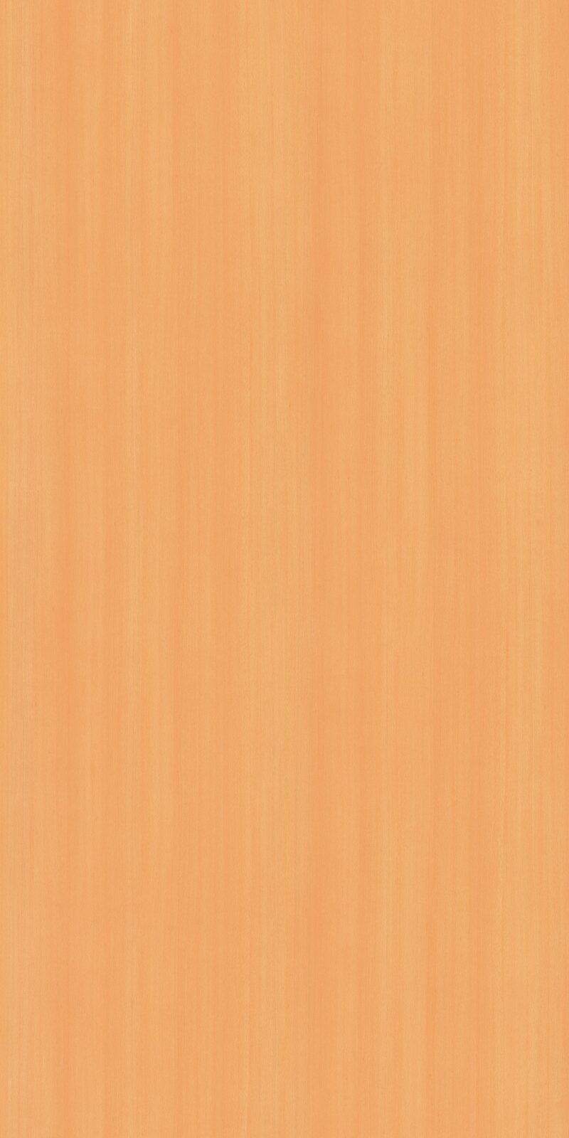 Simssee Beech