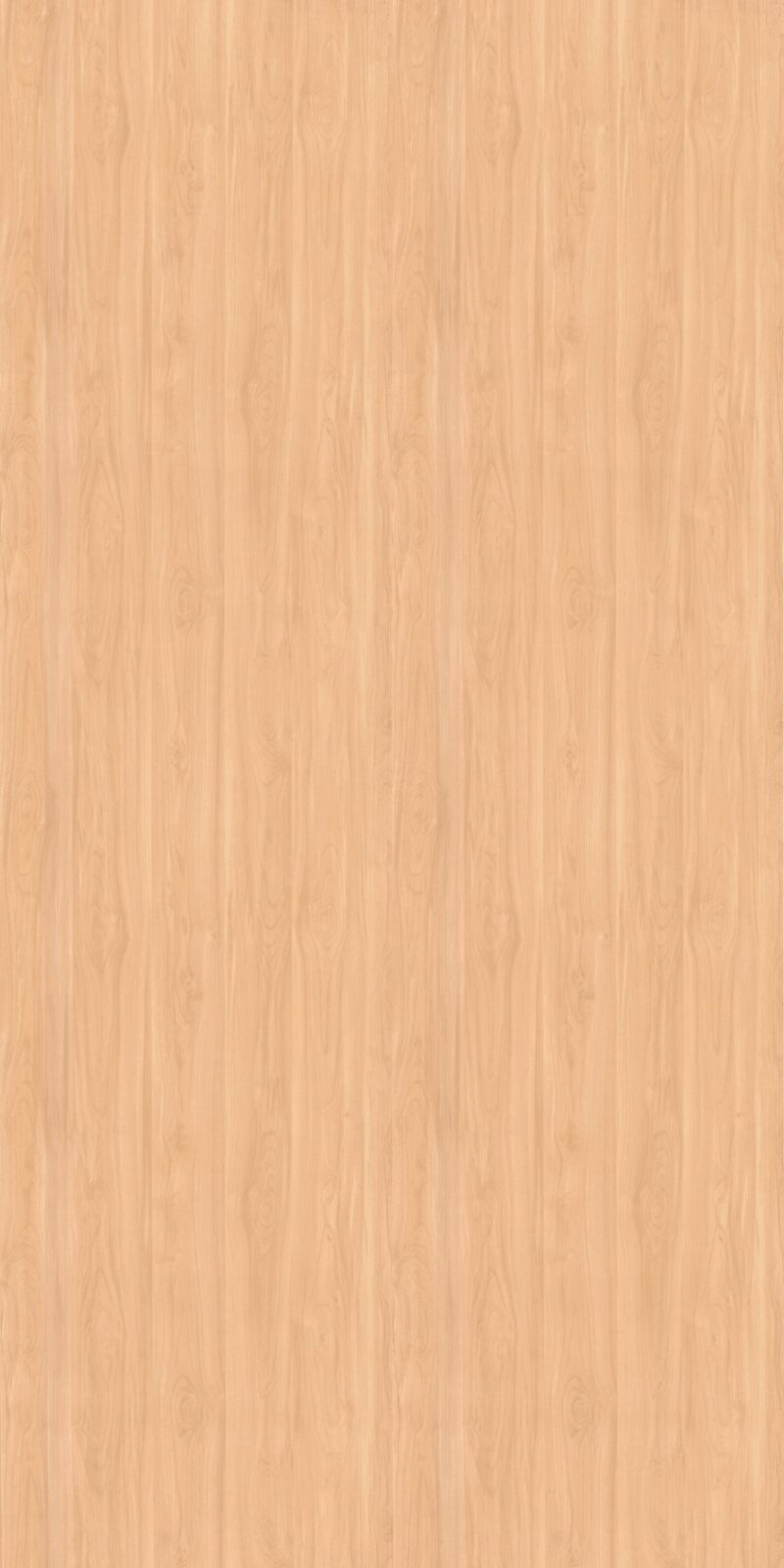 Scandian Maple - I