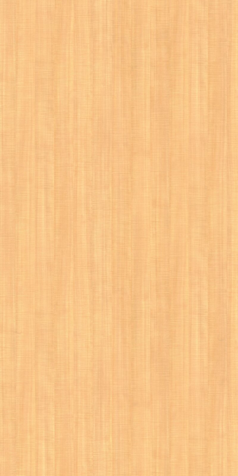 Sycamore