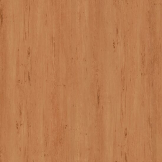 Stately Pine
