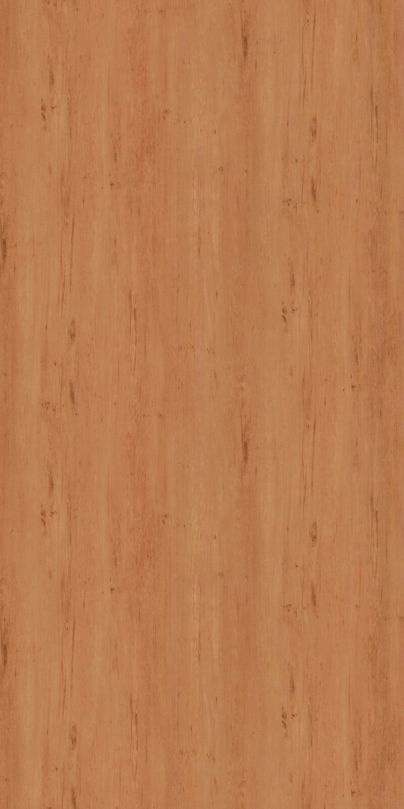 Stately Pine