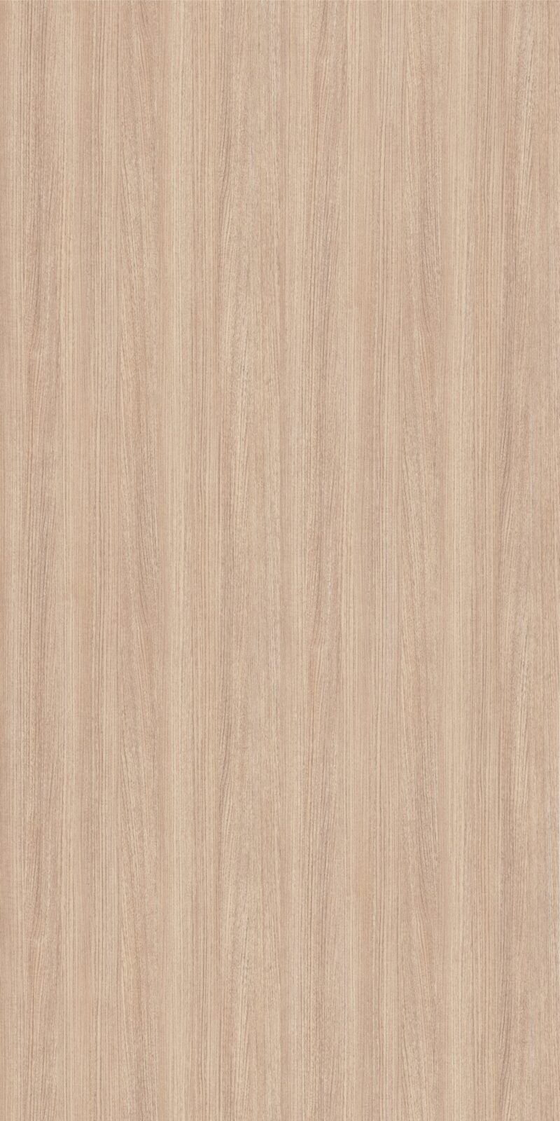 Palau Teak