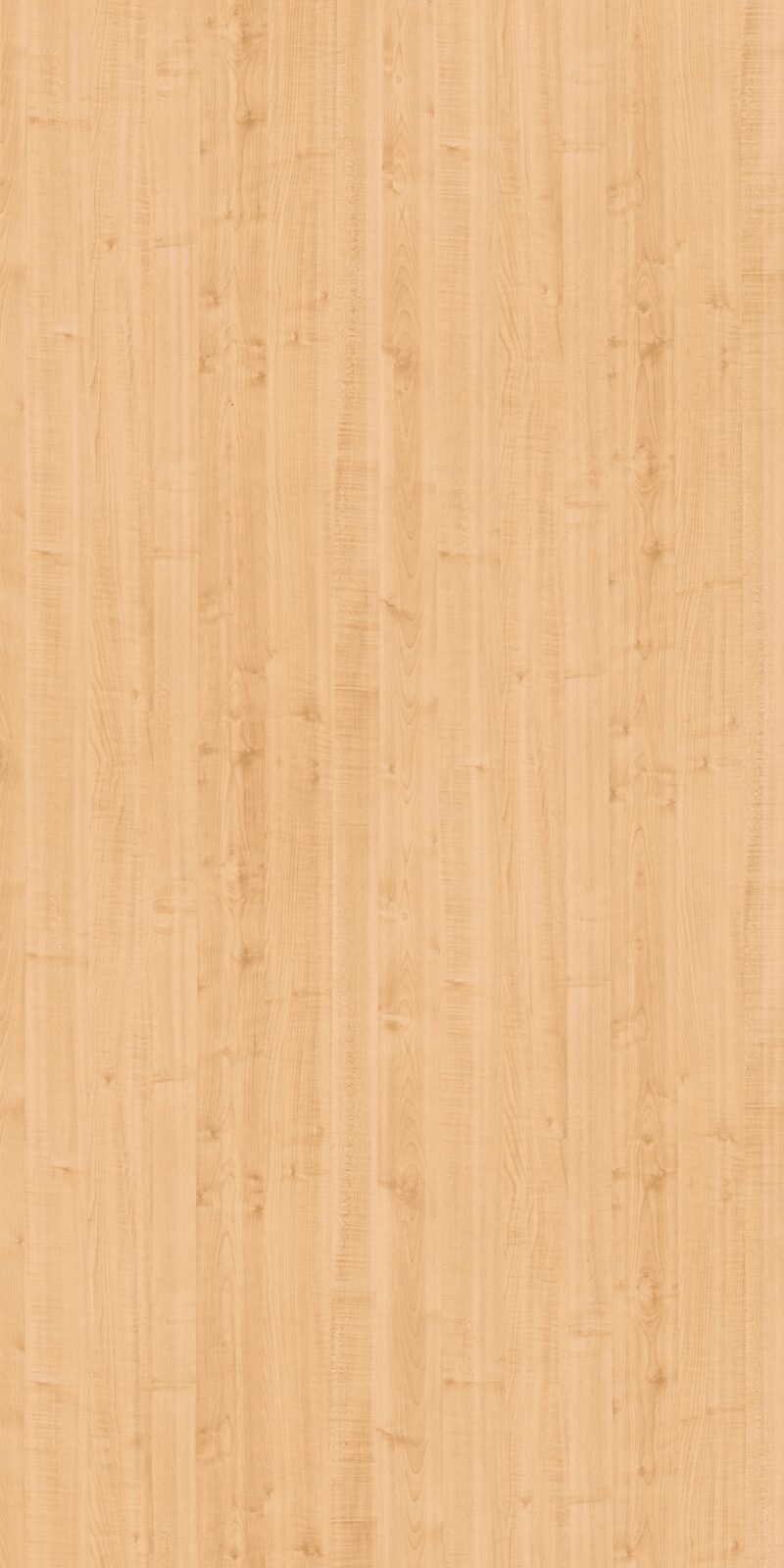 Asian Maple