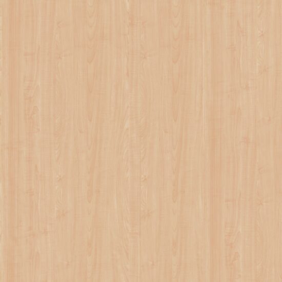 Sugar Maple