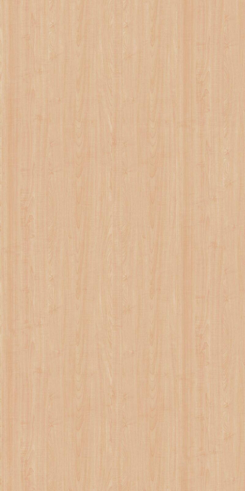 Sugar Maple