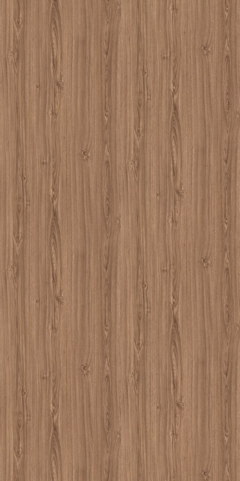 Revine Hickory